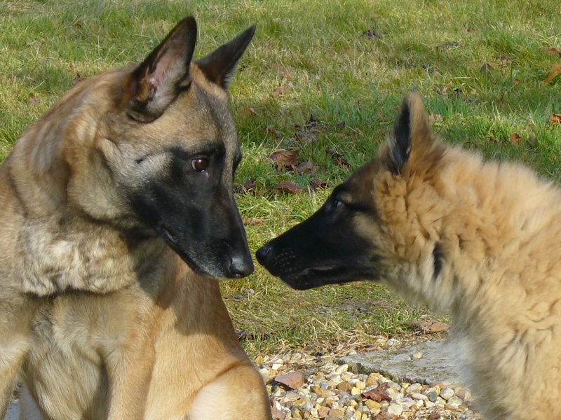 Faleen et ses copains